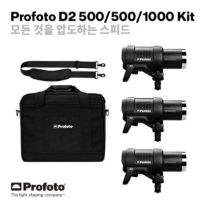 프로포토 D2 500/500/1000 Kit[문의요망]